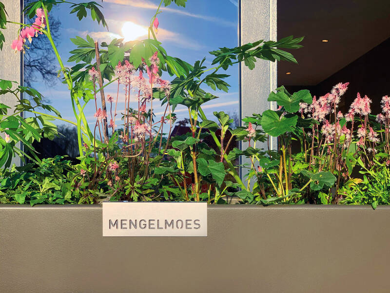 Tuinieren-op-hoogte-met-Mengelmoes_Vlindertuin-03