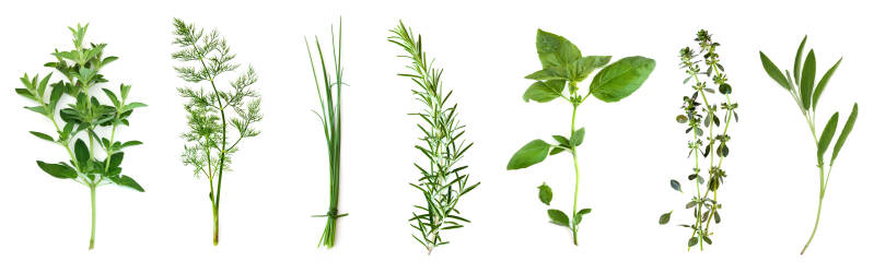 MENGELMOES Tuinieren op hoogte tafel - kruiden