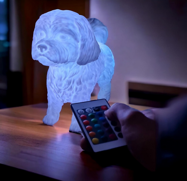 Lampe Bichon Maltais - Unique au Monde - Faite Main- Texturé - Fabriqué en France