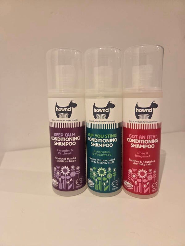 Conditioning Shampoo - Hownd