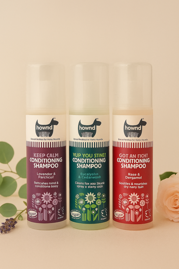 Conditioning Shampoo - Hownd