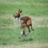 img_1156.jpeg