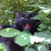 img-20210505-wa0001.jpeg