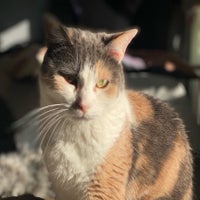 img_39141-2.jpeg