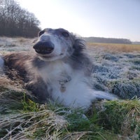 img_2640.jpeg