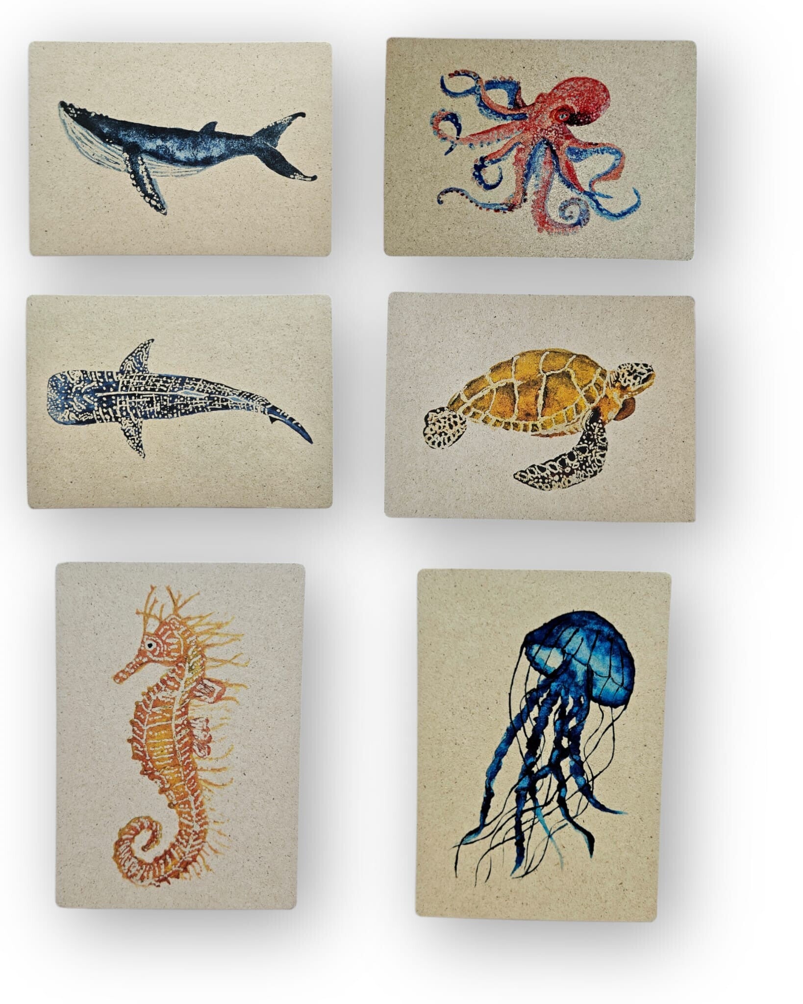 Eco-Friendly Postcards with exciting facts