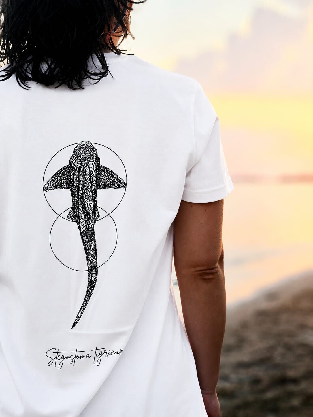 T-Shirt: Zebra shark (Stegostoma tigrinum)