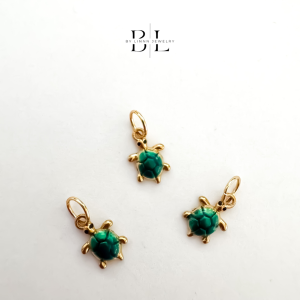 Green turtle bedel