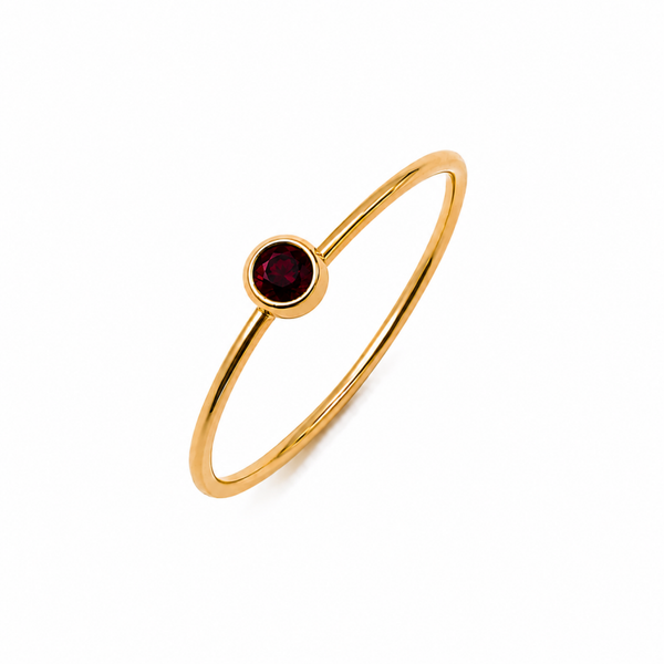 Classic Birthstone Ring – Januari