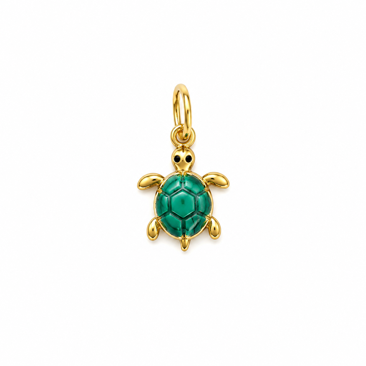 Green turtle bedel