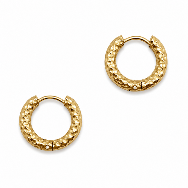 Vida Hoops Oorbellen