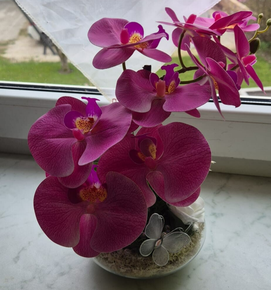 Orchid Harmony - Orchidee in runder Glasschale