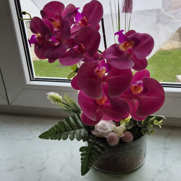 Orchidee Elegance - Orchidee in hoher Glasvase