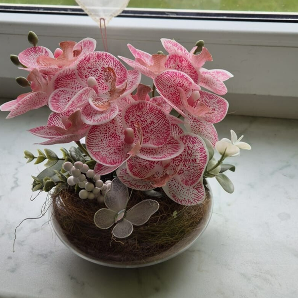 Orchideenzauber im Glas