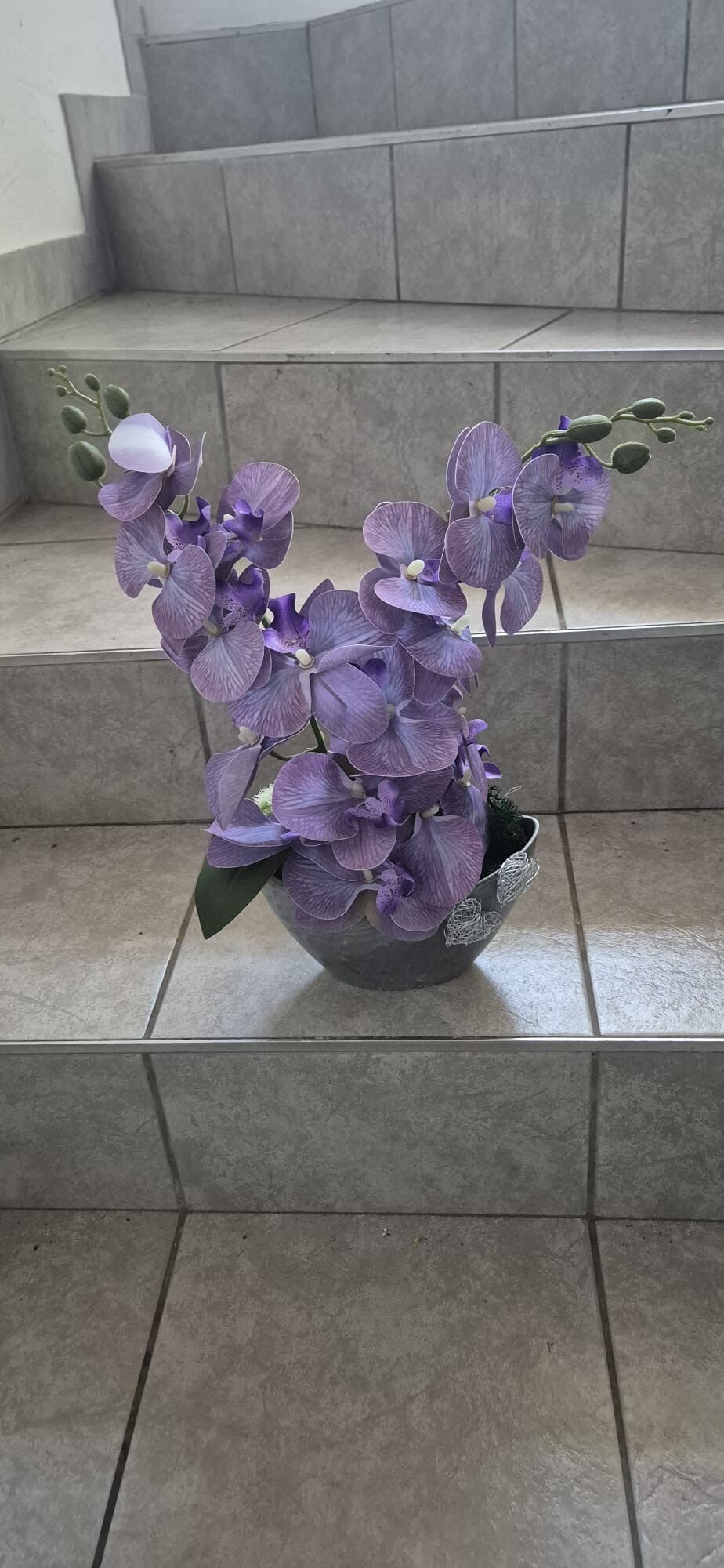 Elegante Orchidee in modernem Design