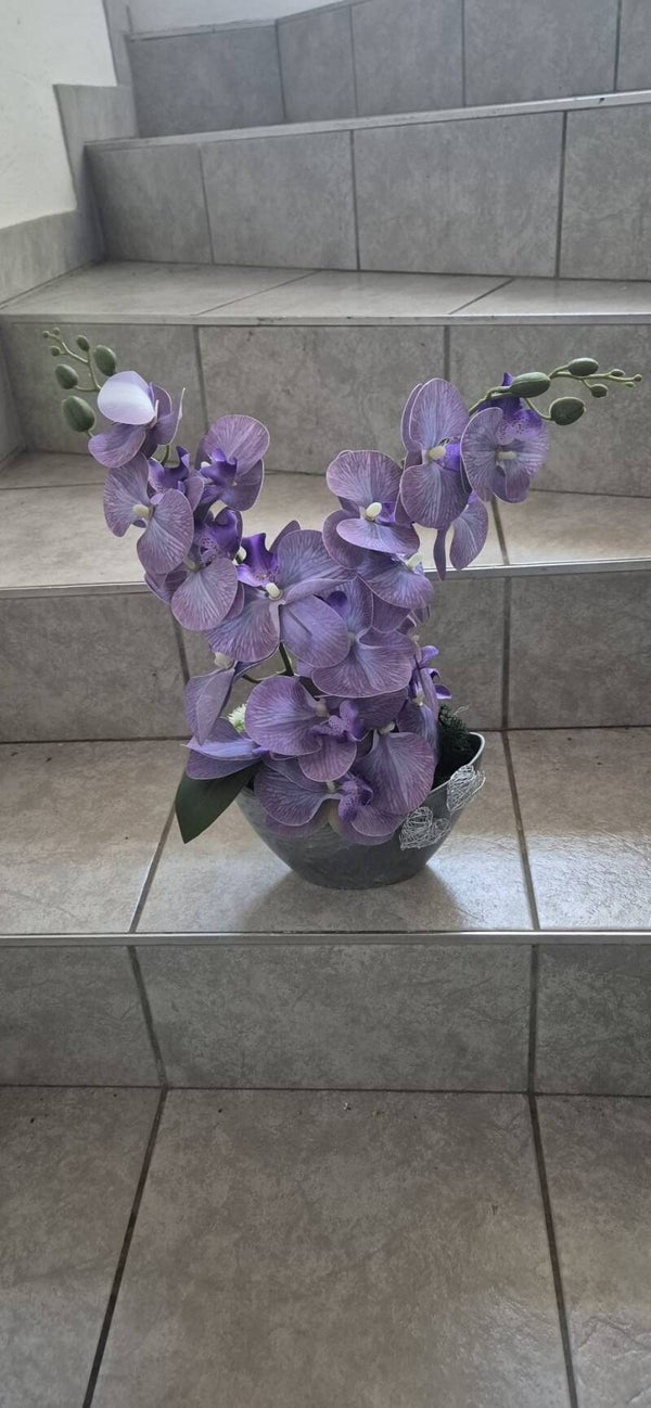 Elegante Orchidee in modernem Design