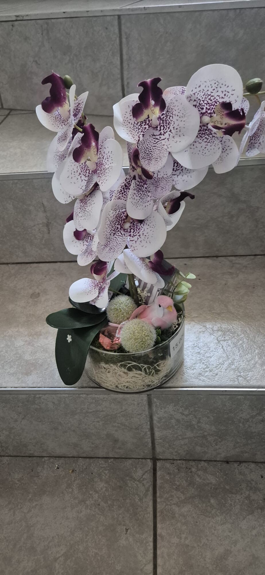 Eleganz in voller Blüte- ein modernes Orchideenarrangement mit stilvollen Akzenten