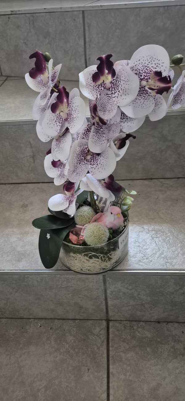 Eleganz in voller Blüte- ein modernes Orchideenarrangement mit stilvollen Akzenten