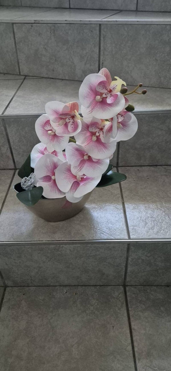 Orchideenzauber in Rosa