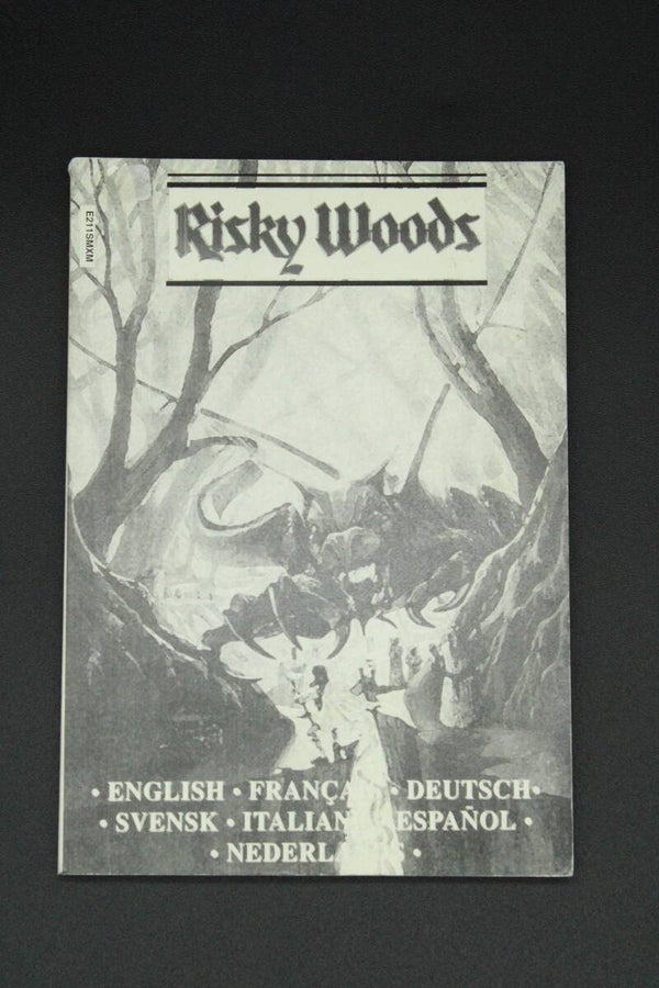Risky Woods Manual - Sega Mega Drive