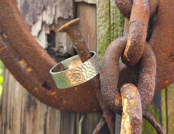 Zilveren ring earth