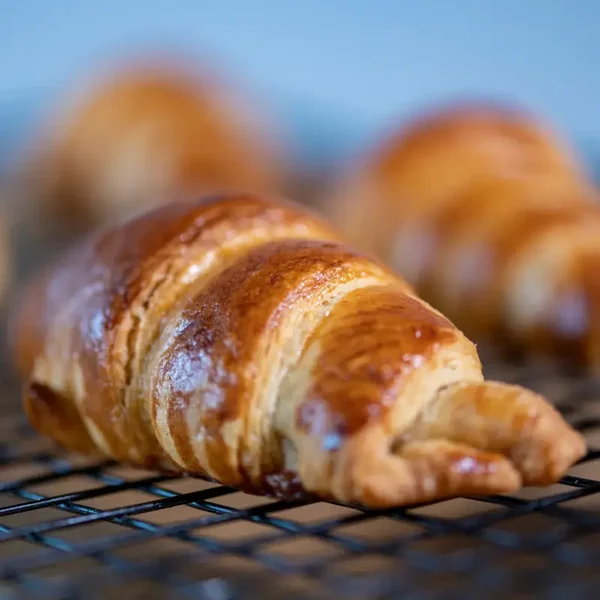 CORNETTO FIBRE