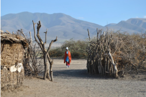 Maasai Culture and Conservation Journey