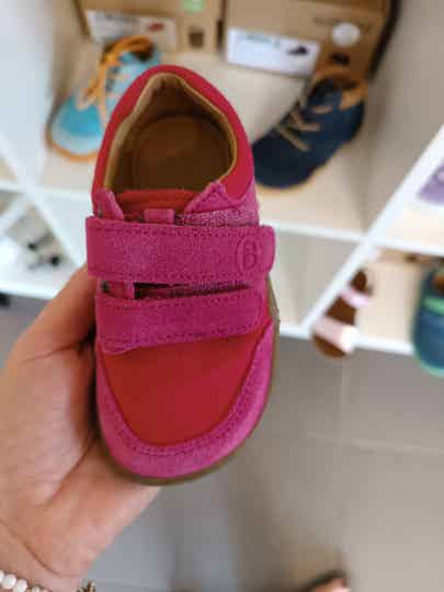 Blifestyle skink Bio cranberry