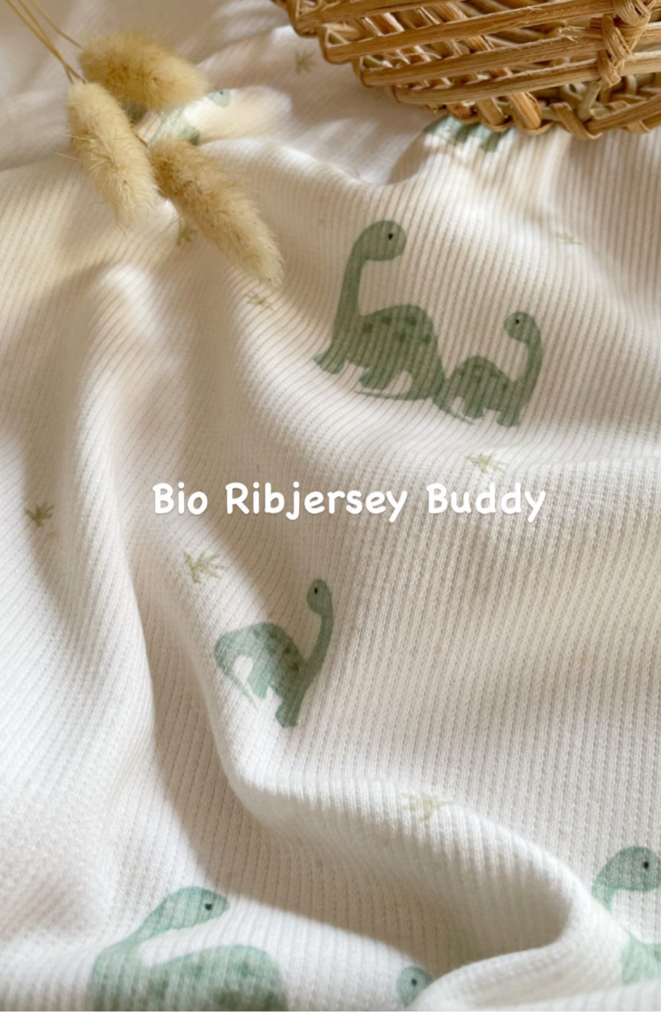 Ribjersey Dino Buddies auf ecru
