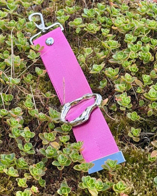 CeriseSilver