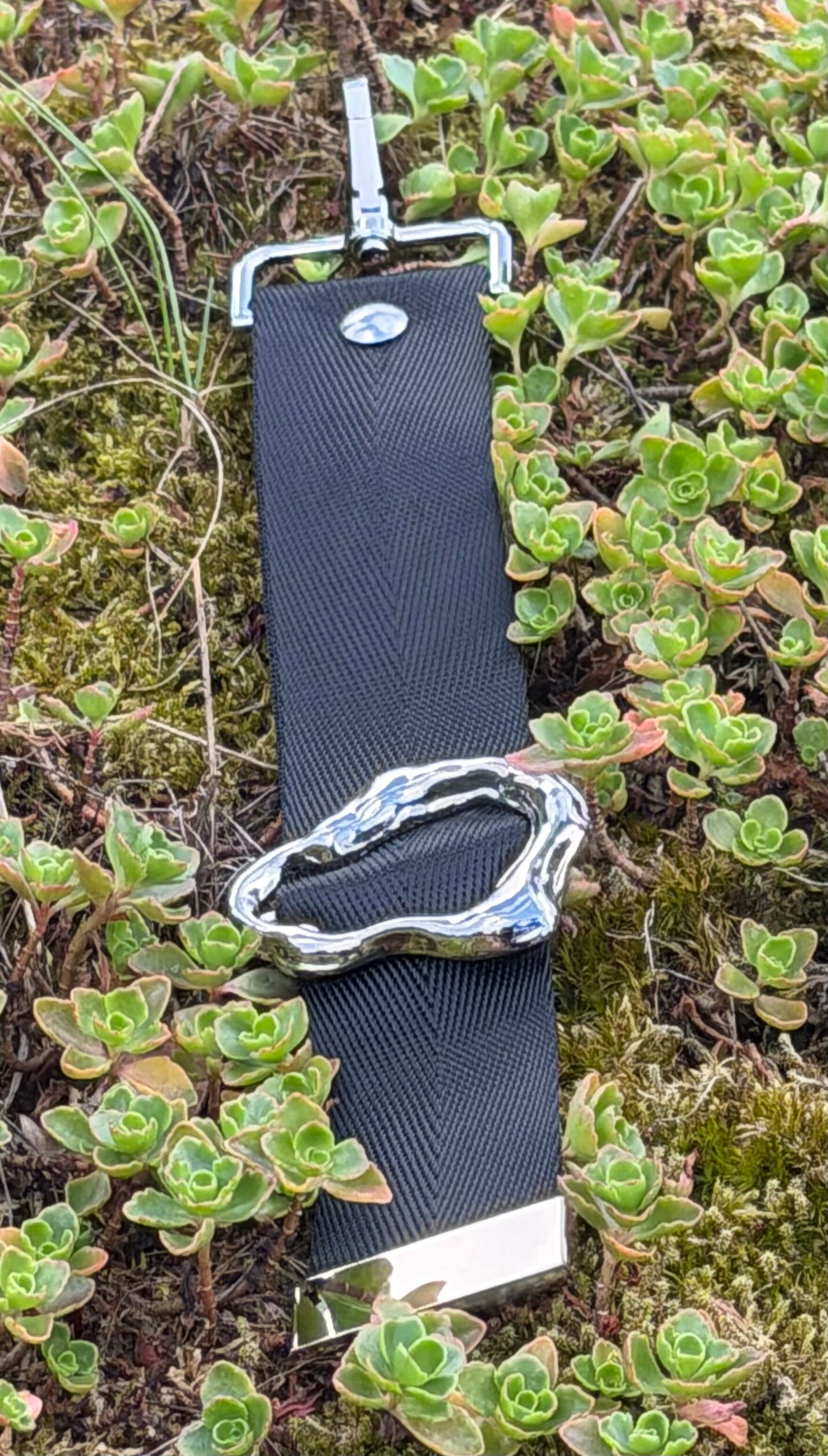 BlackSilver
