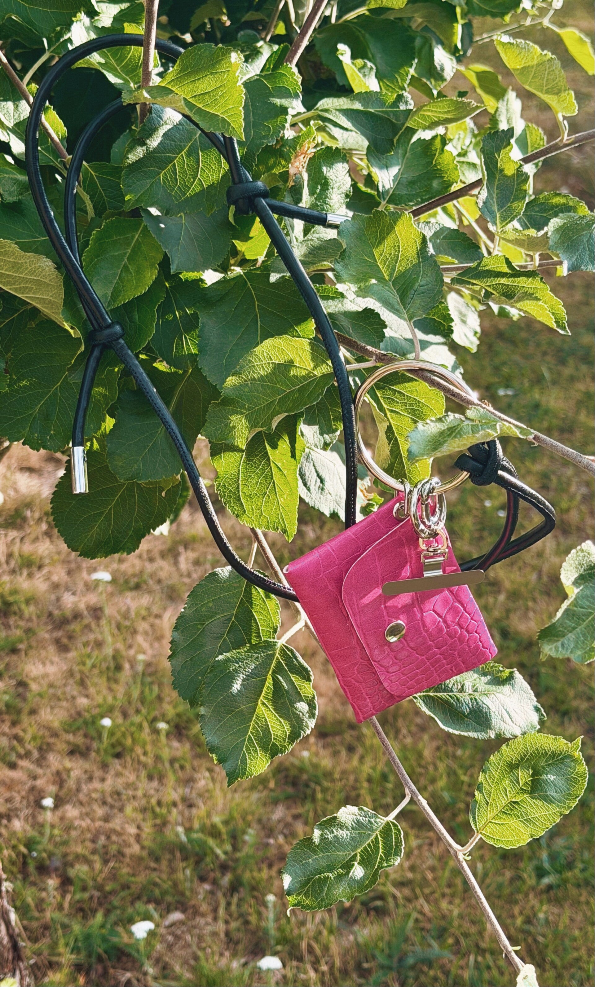 Cerise