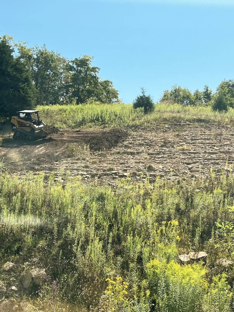 Hillside clearing-Georgetown, Ky
