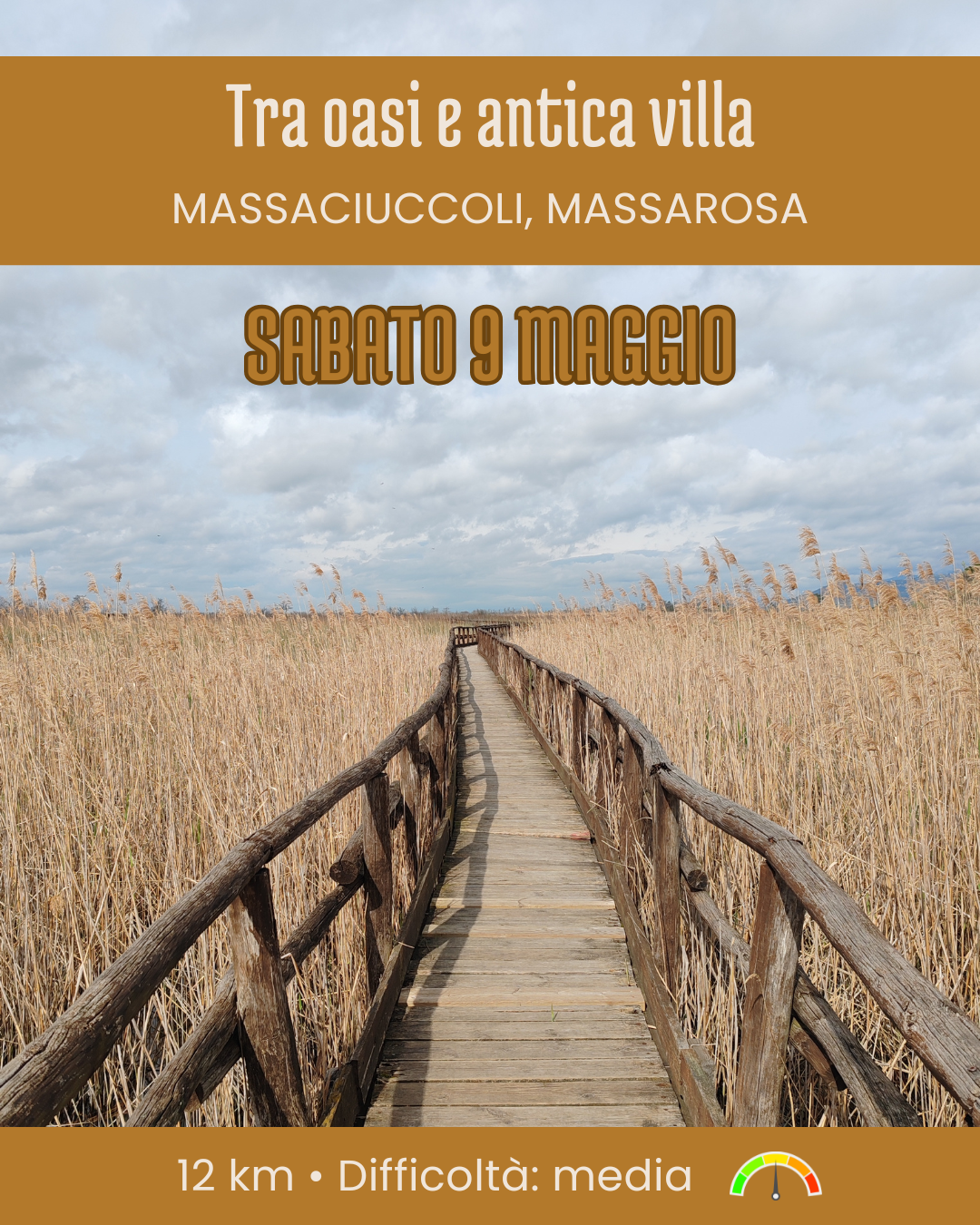 ANELLO DI MASSACIUCCOLI
