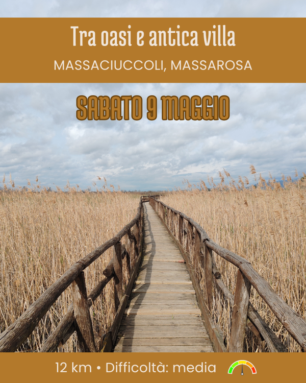 ANELLO DI MASSACIUCCOLI