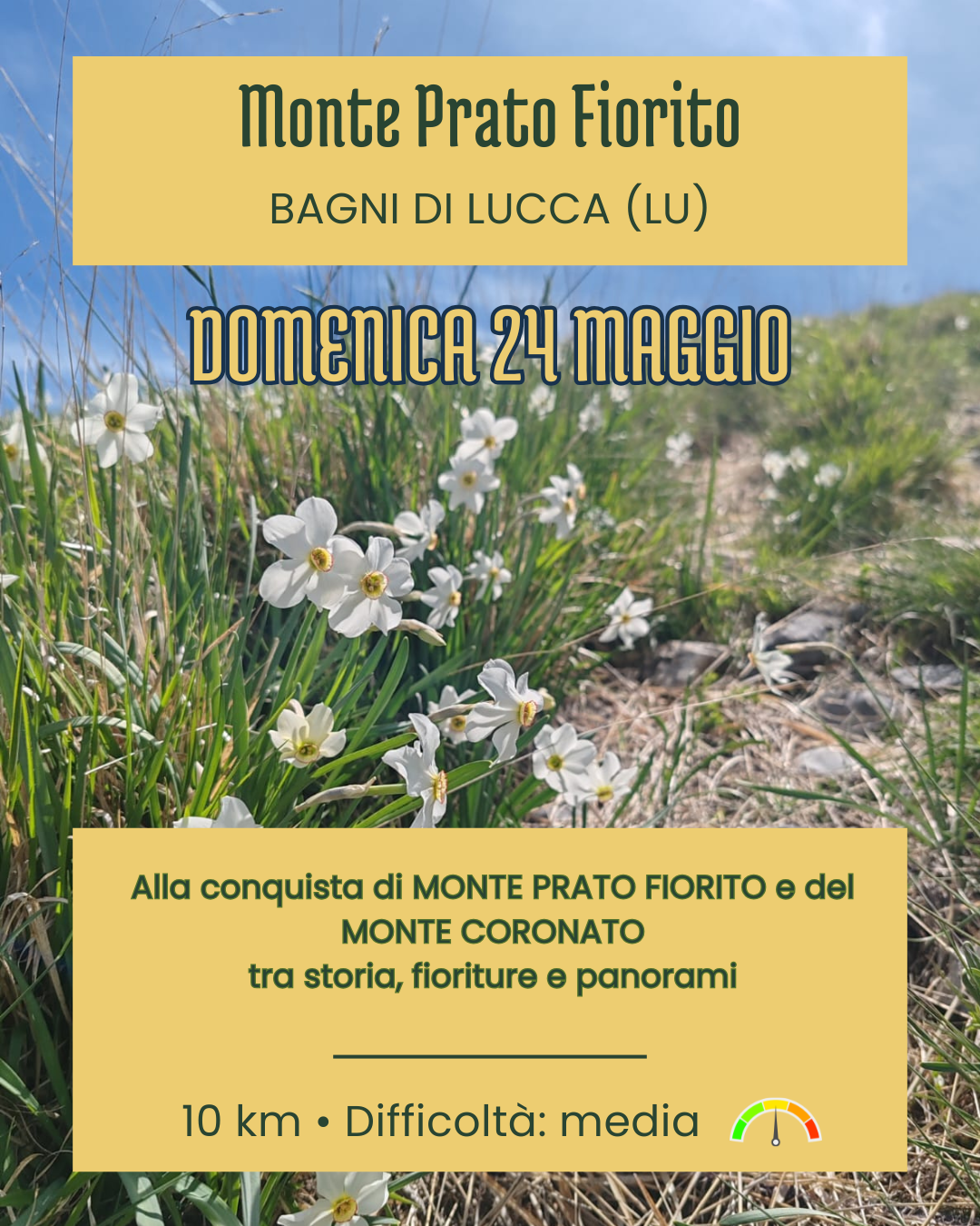 MONTE PRATO FIORITO