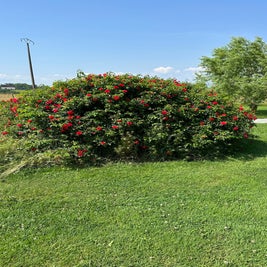 img_0748.jpeg