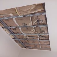 20230312_155013-standard.jpg