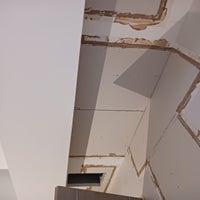 20230320_080747-standard.jpg