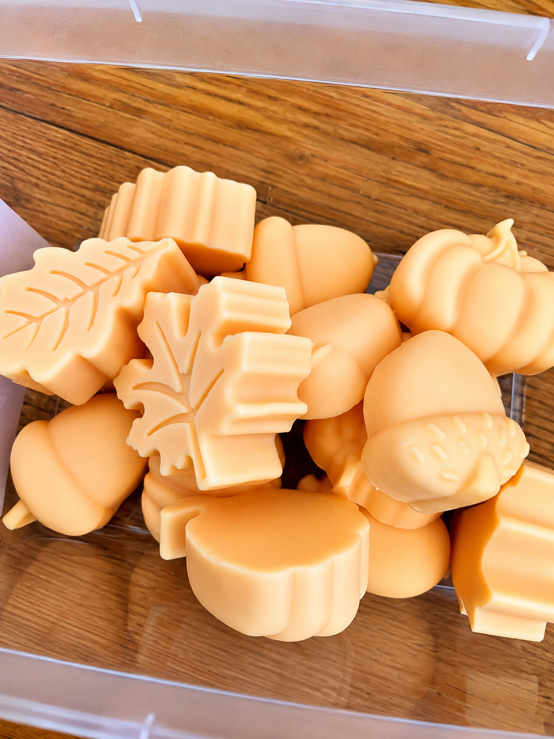 Autumn ( herfst) waxmelt geuren