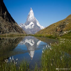 Zwitserland _ gornergrat _ val verzasca _ Switserland _ marmotten _ murmeltieren _ steenbok _ gems _ lötschental _ aletschgletscher _ mottarone _ wallis _ nature _ natuurfoto _ die_schweiz_ zermatt_ matterhorn_gornergletscher_