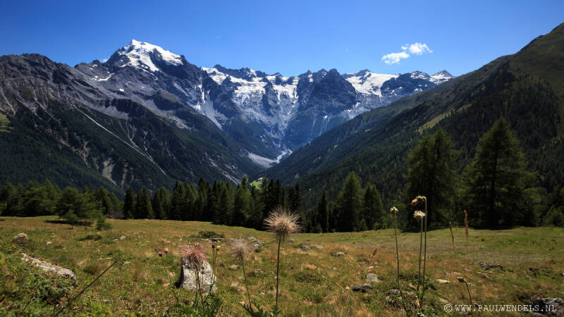 Sulden_Suldenamortler_südtirol_nationalpark_stelvio_stilfserjoch_alps_marmot_mumeltier_glescher_solda_ortler_tirol_summer_zomer_mountain_natur_nature_natuur_italië_photo_foto_picture_natuurfoto_sneeuw_snow_marmotten_clouds_wolken_uitzicht_vakantie_holiday