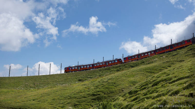 img_0756kopie-border-standard.jpg