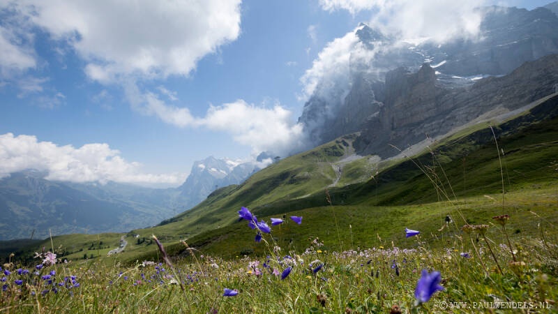 img_0834kopie-border-standard.jpg