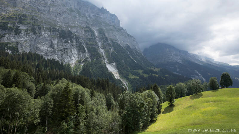 img_1312kopie-border-standard.jpg