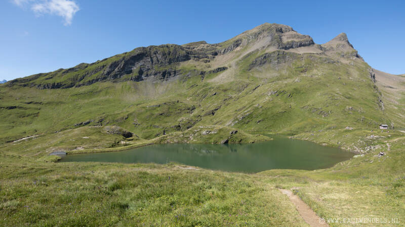 img_1754kopie-border-standard.jpg