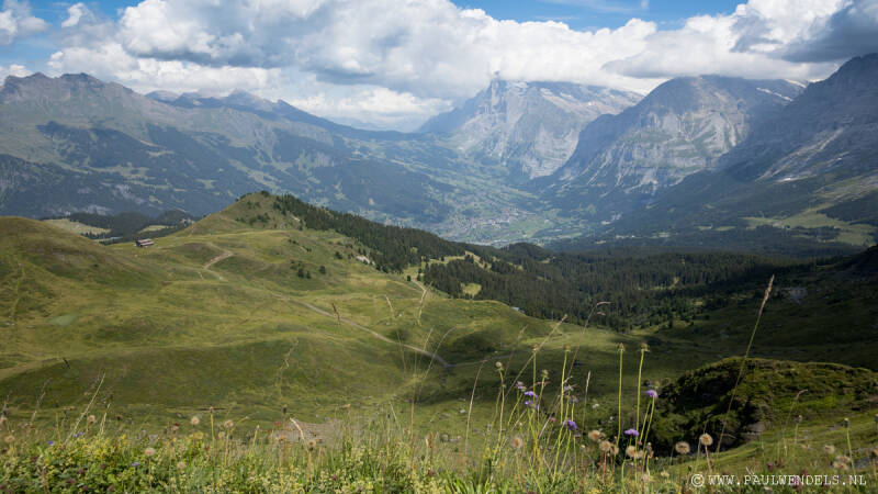 img_3281kopie-border-standard.jpg