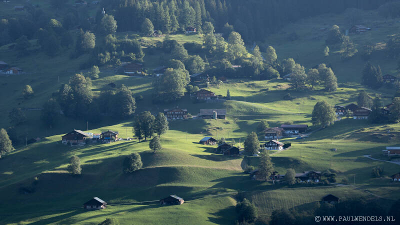 img_3329kopie-border-standard.jpg