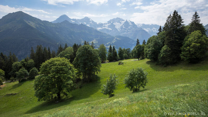 img_3688kopie-border-standard.jpg