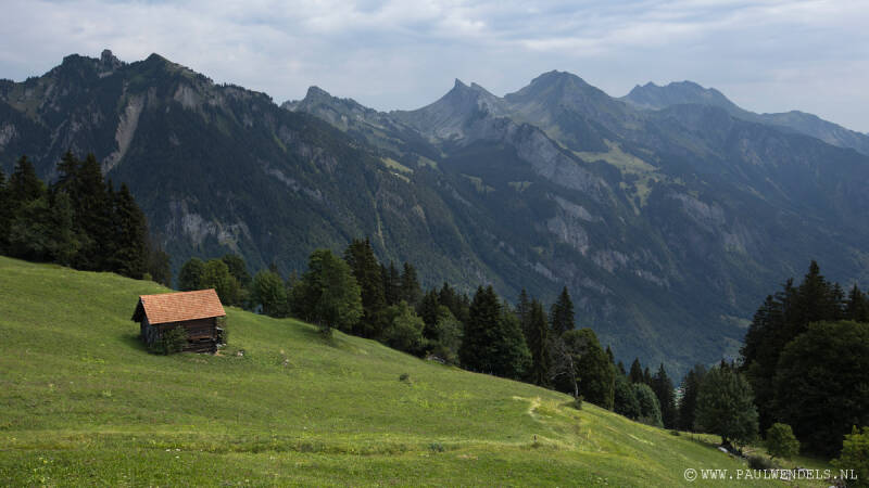 img_3695kopie-border-standard.jpg
